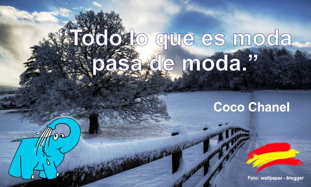 Todo lo que es Moda pasa de moda.